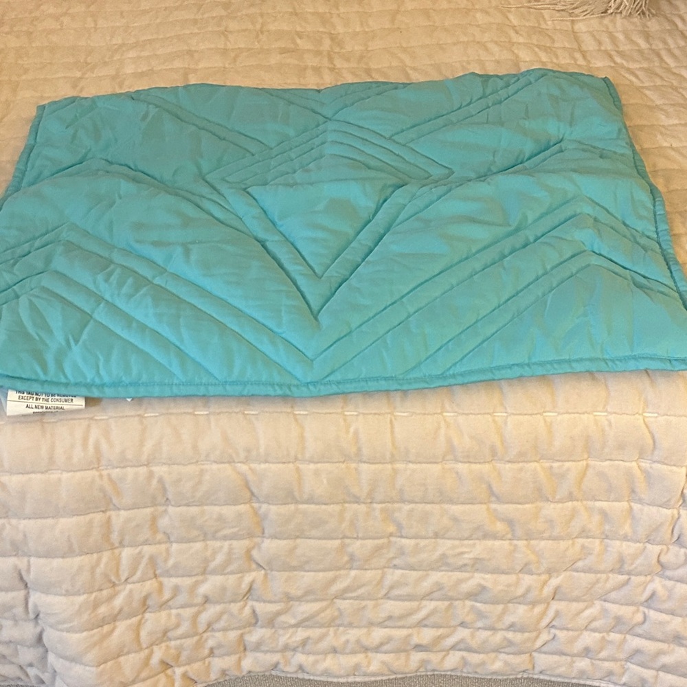 Blue Quilted Shams